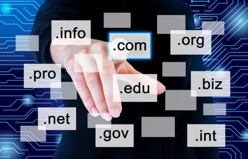 Jenis-Jenis Domain dan Contoh, beserta Tips Memilihnya!